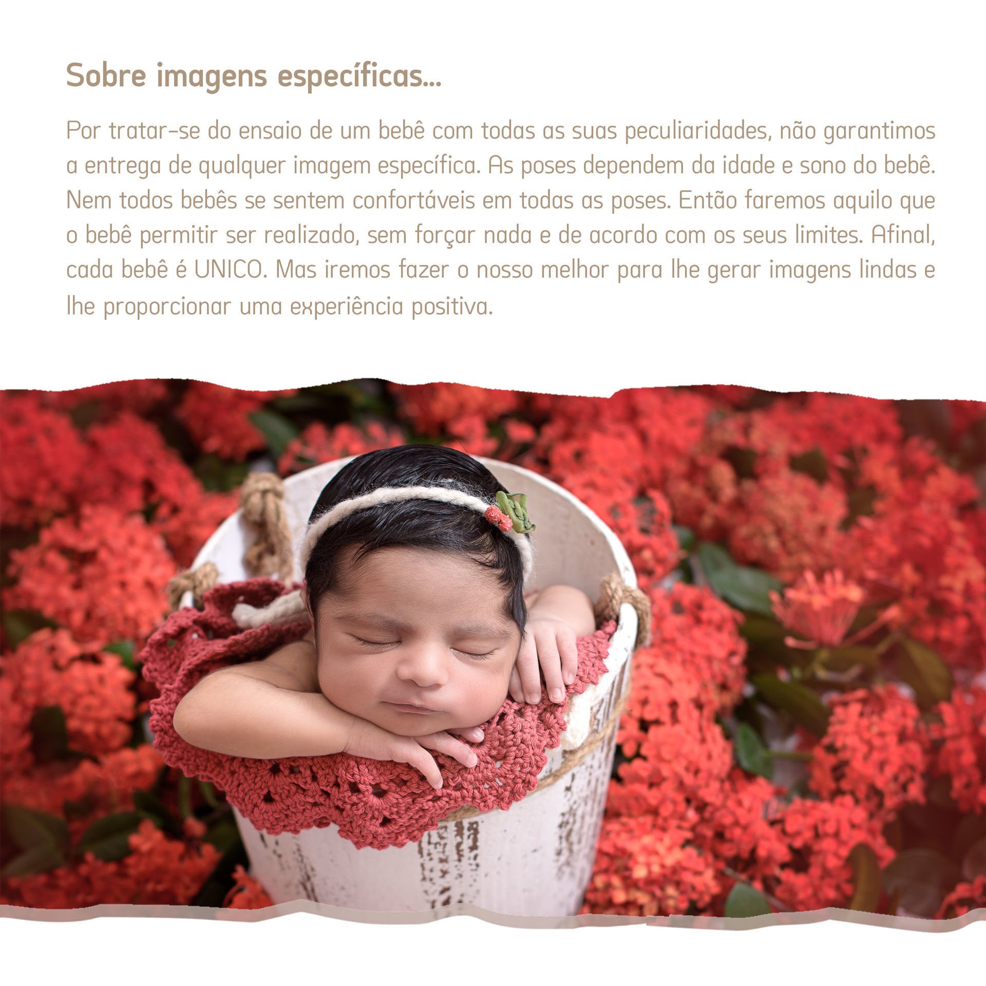 Foto Ensaio Newborn Foto Ensaio Newborn - Imagem 10